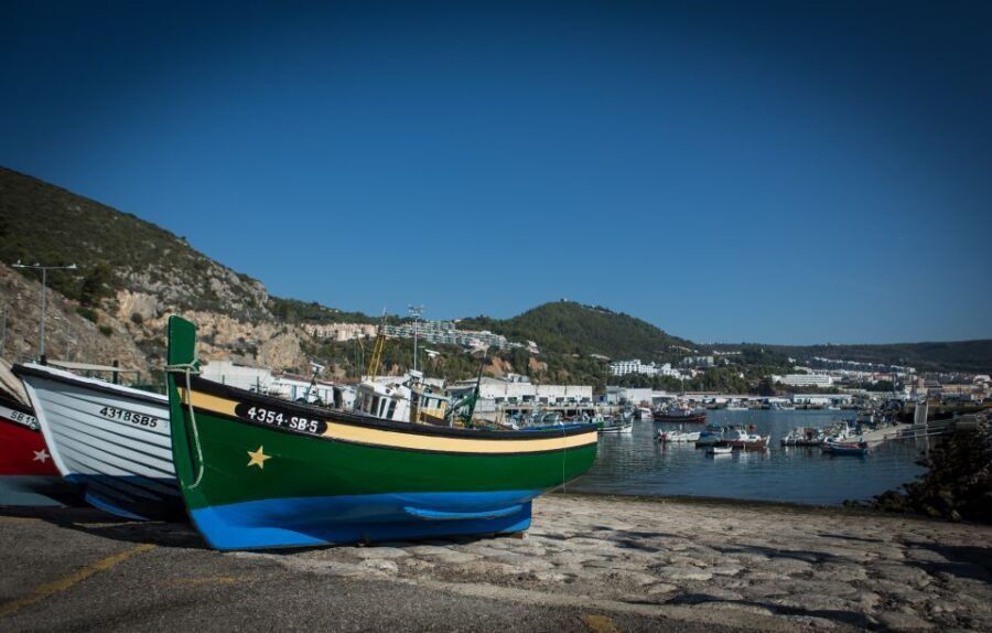 Private Lisbon Arrábida Wine Tour: Culture, Scenery & Wines - Winery visit #1: two different styles, same guided attention