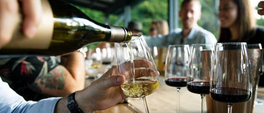 Private Lisbon Arrábida Wine Tour: Culture, Scenery & Wines - Winery visit #2: where the comparisons start to click