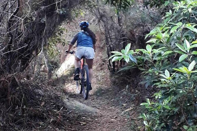 Private Mountain Biking Adventure in Sintra Cascais Park - Gear, Helmet, and What to Pack Without Overthinking
