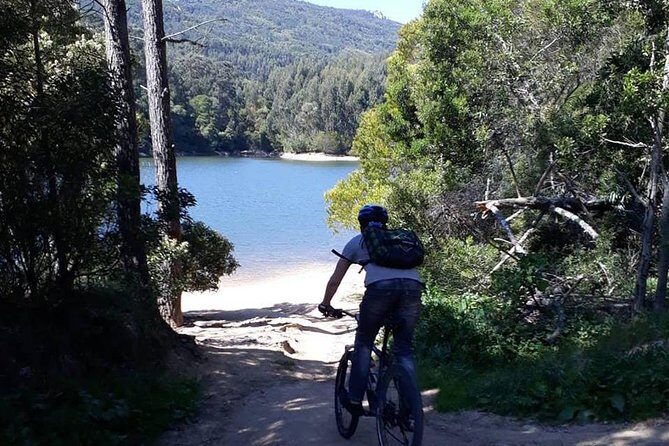 Private Mountain Biking Adventure in Sintra Cascais Park - Private Upgrade and Small-Group Value for $151.65