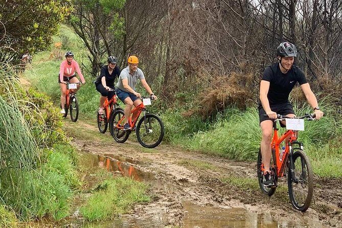 Private Mountain Biking Adventure in Sintra Cascais Park - Pairing This Ride With Cascais: Cobblestones, Beaches, and Local Tips