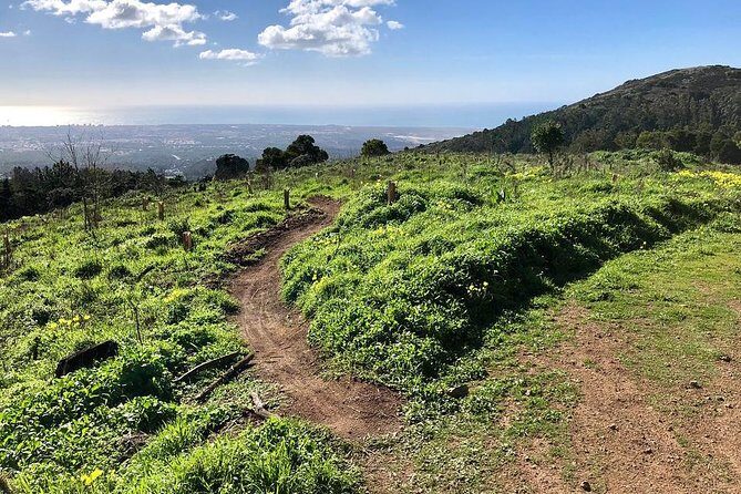Private Mountain Biking Adventure in Sintra Cascais Park - Weather, Effort, and Who This Tour Fits Best