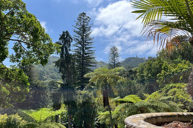 Private: Quinta da Regaleira & Sintra Historic Center Guided Tour - Group size, language, and how “private” works here