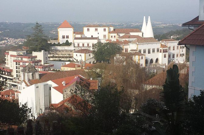 Private Sintra Day Trip from Lisbon with Wine Tasting and Monserrate Palace - A wine tasting stop that actually feels like Portugal