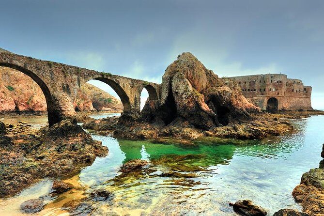 Private Tour: Berlenga Grande Island Day Trip from Lisbon - Guide Quality: Why This Tour Feels Personal Instead of Generic