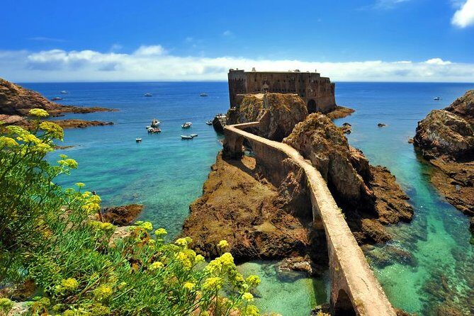 Private Tour: Berlenga Grande Island Day Trip from Lisbon - Crossing to Berlenga Grande: Timing, Seasickness, and What to Watch For