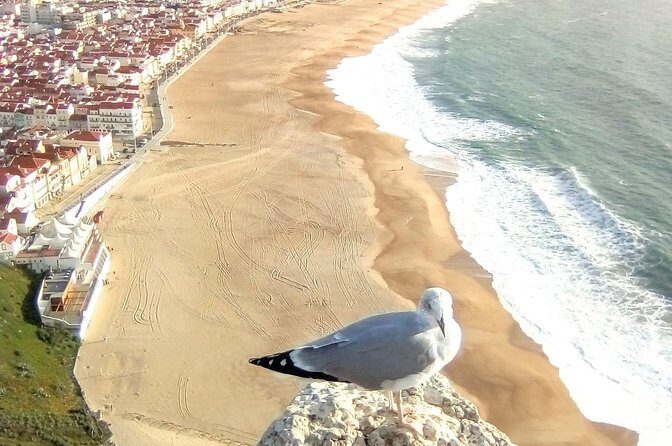Private tour for 1 to 4 people: Fátima, Batalha, Nazaré and Óbidos - Price and value: what $568.07 per group really buys