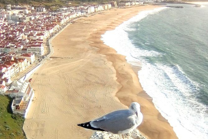 Private tour for 1 to 8 people: Fátima, Batalha, Nazaré and Óbidos - Nazaré Viewpoint: A Short Stop With Big Payoff