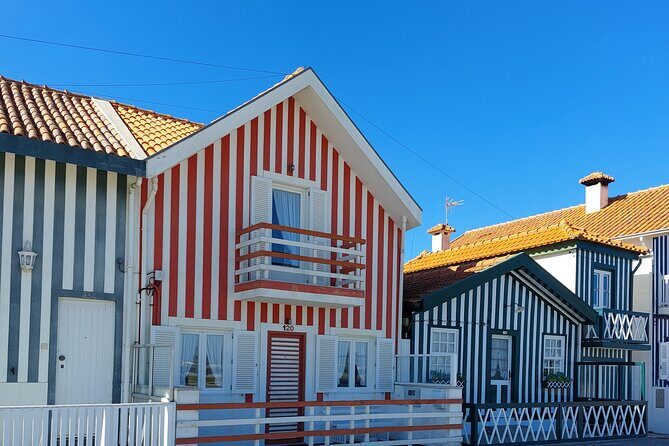 Private Tour from Lisboa to Aveiro and Porto - São Bento Railway Station: azulejos you can’t stop looking at