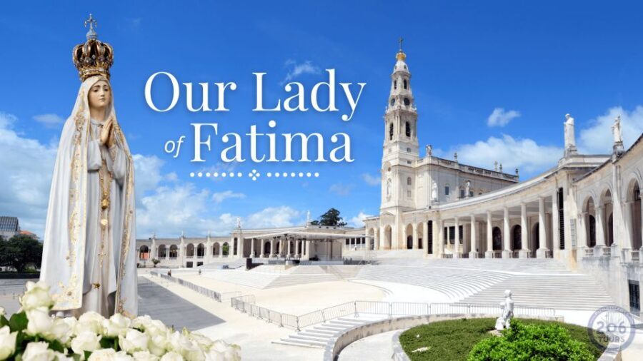 Private Tour from Lisbon: Fátima, Batalha, Óbidos & Nazare. - The Smart Way to Do a Lisbon Coast Full-Day: Private, but Not Rushed