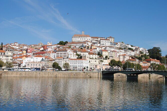 Private Tour: from Lisbon to Porto; visit to Óbidos, Fátima, Coimbra, Aveiro - Stop 4: Aveiro canals, Art Nouveau vibes, and the optional boat ride