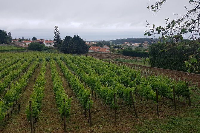 Private Tour from Lisbon to Sintra, Cabo da Roca, Cascais and Estoril - Queluz National Palace: what to expect from the 18th-century stop