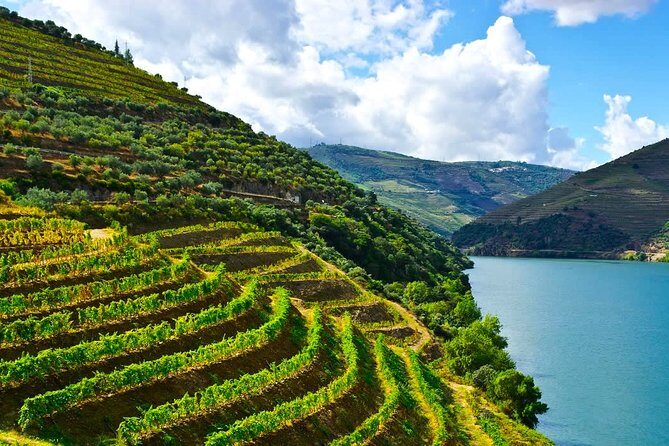 Private tour Portugal 7 days from Lisbon - Day 3: Fatima and Coimbra, then overnight in Porto