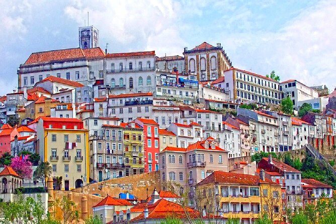 Private tour Portugal 7 days from Lisbon - Day 4 in Porto: towers, bookstores, markets, and the river
