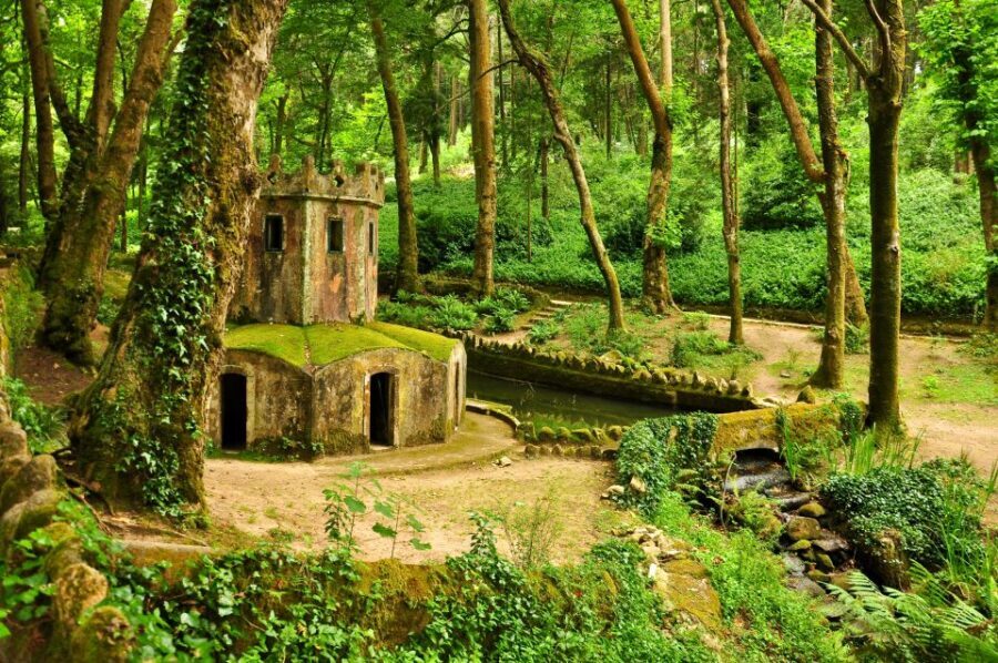 Private Tour - Sintra with Pena Palace and Cascais - Guincho Beach: when the coastline gets wide open