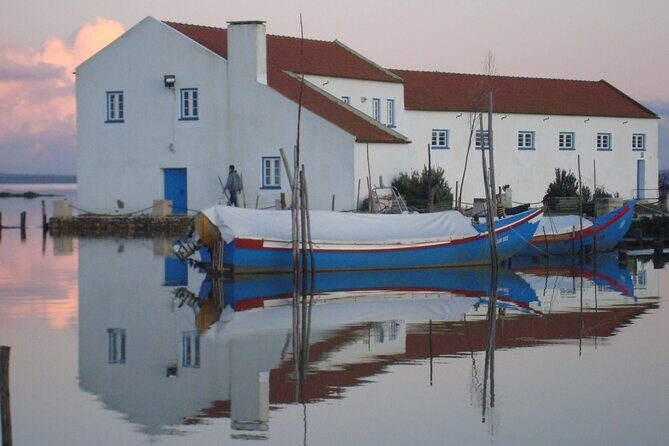 Private Tour to Arrabida with Wine and Cheese Tasting at the Mourisca Tide Mill - Setúbal lunch break: choco frito or grilled fish