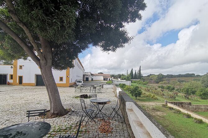 Private Tour to Evora with wine tasting at the Cartuxa Winery - Price and value: what you’re really paying for