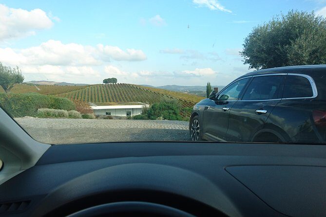 Private Transfer Between Lisbon, Porto, or Algarve - Comfort breaks and quick stops along the way