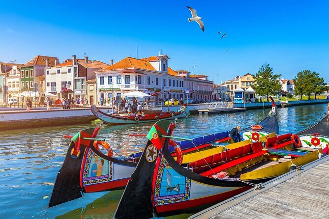 Private Transfer from Lisbon to Porto with Tour - Aveiro Canals (Portuguese Venice) With Room to Walk