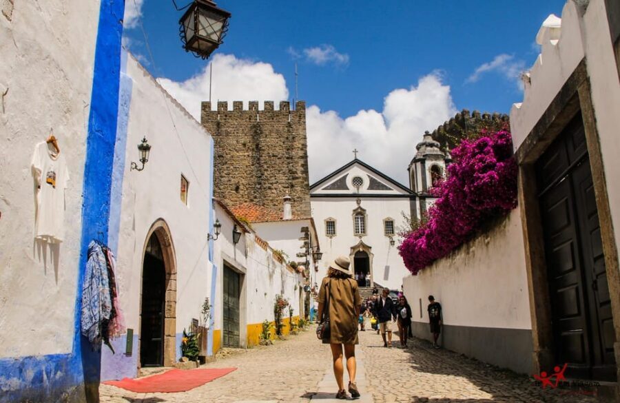 Private Transfer Lisboa-Porto and Vice-Versa With 2 Stops - What’s included and what you’ll pay separately