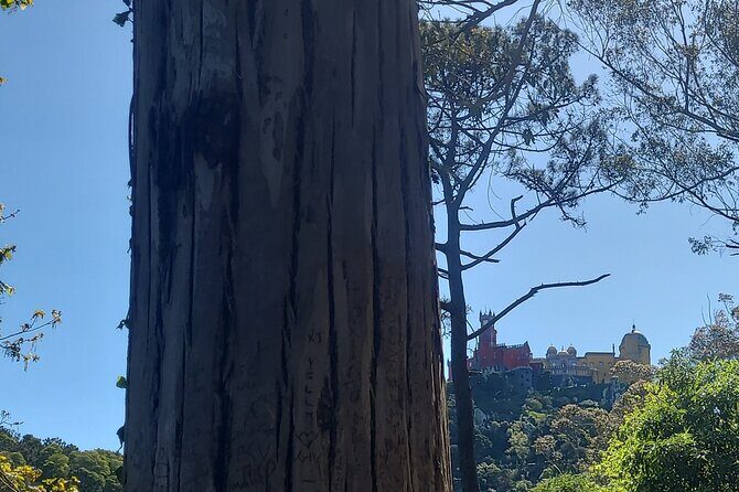 Private Tuk Tuk Tour around Magical Sintra and Coastline - Sintra by tuk tuk: what this route is really good at
