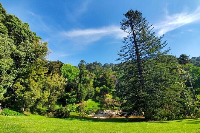 Private Tuktuk Sintra Tour: Palaces & Coast - Valverde Palácio de Seteais: One Stop That Doesn’t Add Ticket Stress