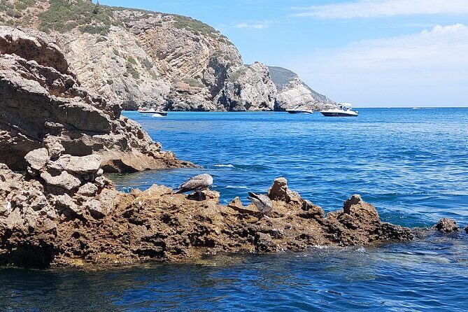 Ribeiro do Cavalo Beach Taxi Boat Transfer Round Trip - Price and value: $24.03 for the boat-to-beach experience
