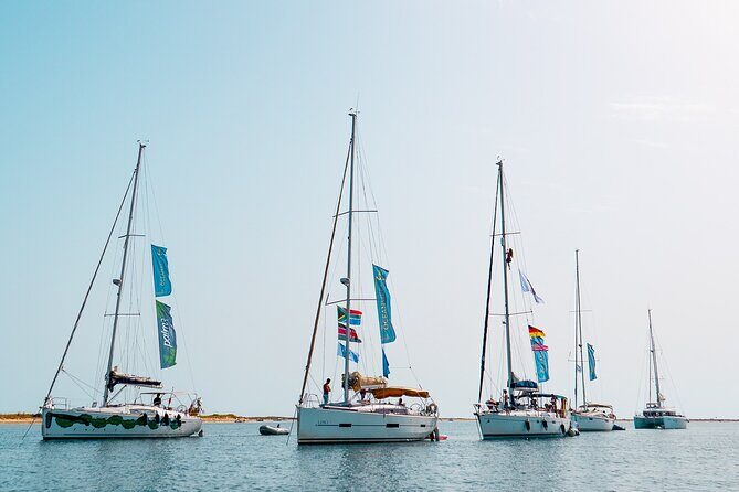 Sailing Experience in Lisbon - Portugal - River meets ocean: the Tagus-ocean difference