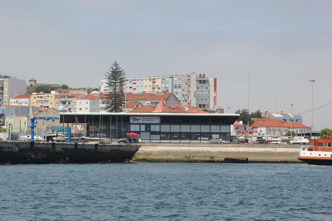 Seixal Sailing Cruise - Lunch in a typical restaurant - Onboard comfort: music you bring, plus snacks and drinks