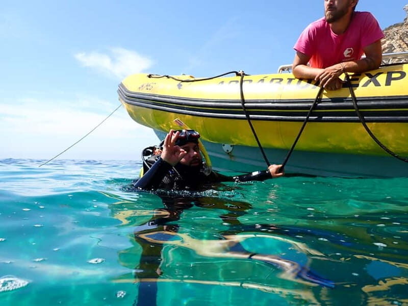 Sesimbra: Arrábida Marine Reserve Scuba Diving Experience - Price and value: what $136 gets you (and what to plan around)