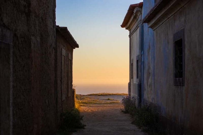 Sesimbra & Arrábida National Park Tour with 5 Wines Tasting - Sesimbra town time: seafood lunch without rushing your whole day