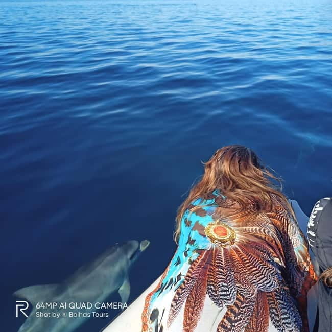 Sesimbra: Dolphin Watching Boat Tour with Biologist Guide - Value and price: why $62 can make sense
