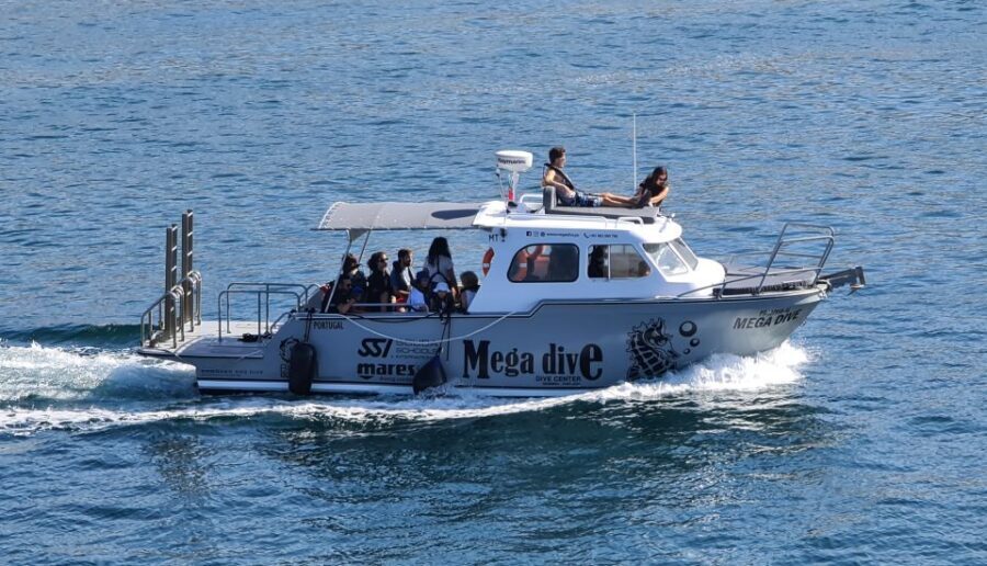 Sesimbra: Dolphin Watching with a marine biologist - Spotting wild dolphins with a marine biologist (and how to tilt the odds)