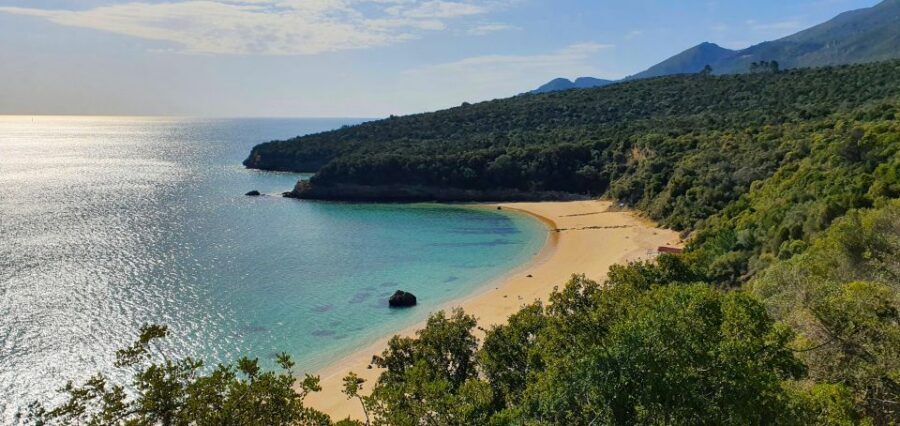 Sesimbra e Arrábida Natural Park: 1 Day Tour & Wine Tasting - Crossing Ponte 25 de Abril and peeking at the Tejo Estuary reserve