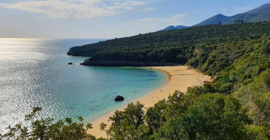 Sesimbra e Arrábida Natural Park: 1 Day Tour & Wine Tasting - Sesimbra: fishing village charm and the Moorish Castle stop