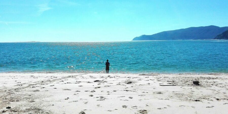 Sesimbra e Arrábida Natural Park: 1 Day Tour & Wine Tasting - Costa Azul and Cabo Espichel: where the coast gets dramatic