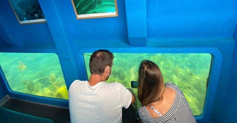 Sesimbra: Family Friendly Boat Sea Tour w/ Submarine Vision - What $34 per person gets you (and why it’s reasonable)
