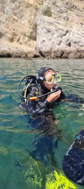 Sesimbra: First Scuba Diving Experience in the Ocean - Why Professor Luiz Saldanha Marine Park Is a Smart First-Water Choice