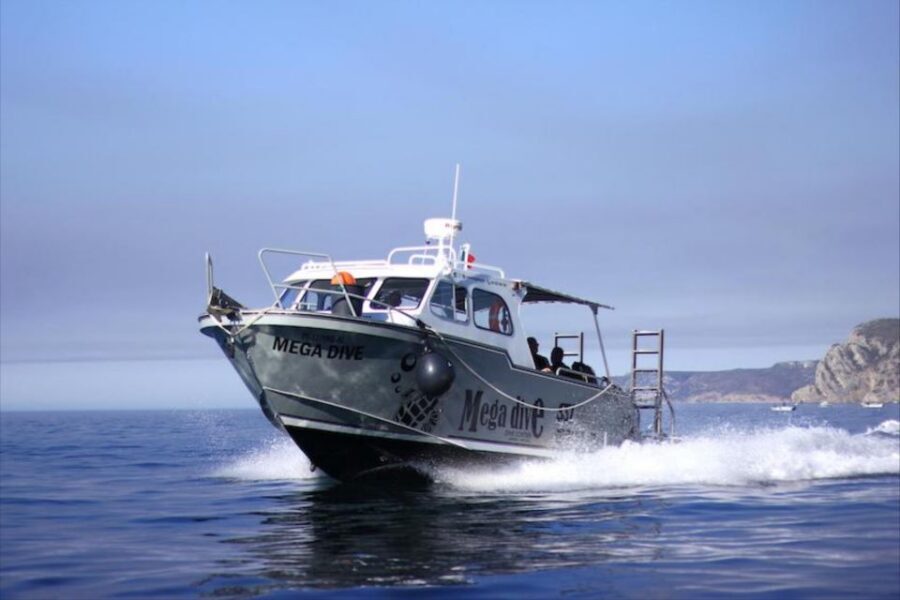Sesimbra: First Scuba Diving Experience in the Ocean - The Return Plan: Sesimbra Sweet, Hot Shower, and an SSI Certificate