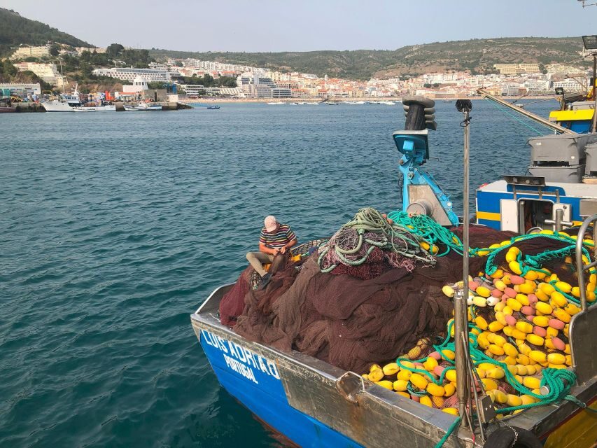 Sesimbra: Half-Day Tour to Arrabida with Wine Tasting - Azulejos de Azeitão: Tile-Making That Feels Like Art Lessons
