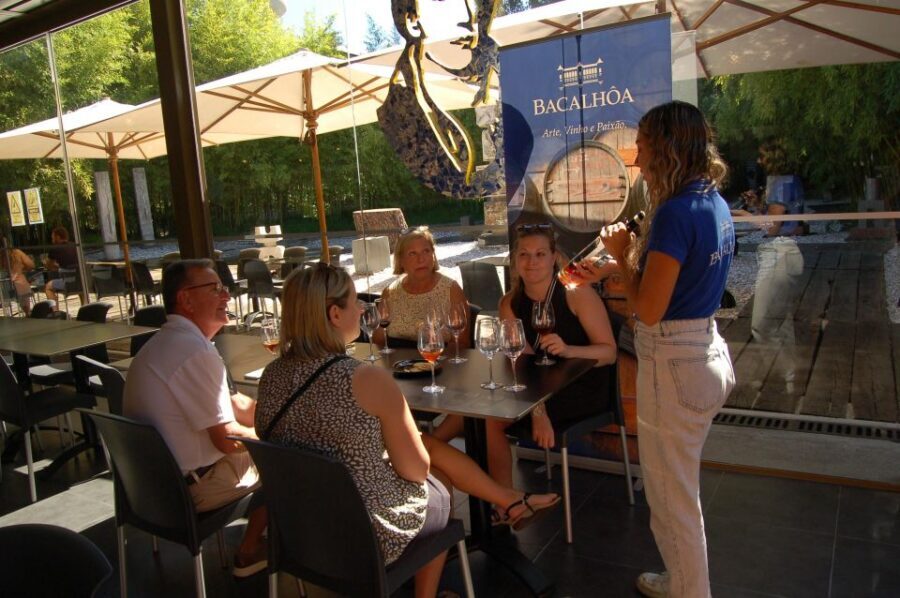 Sesimbra: Half-Day Tour to Arrabida with Wine Tasting - Quinta da Bacalhôa: Wine Tasting With a Guided Visit