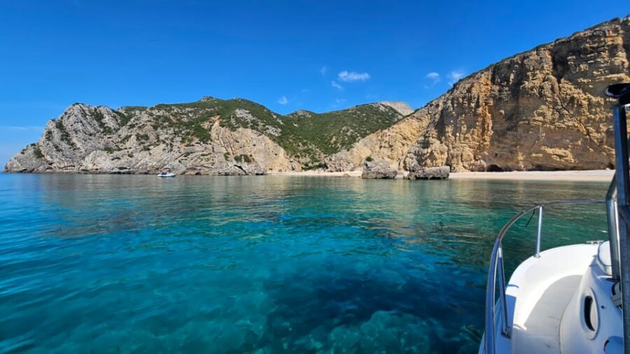 Sesimbra: Rote of Wonders/ Private Boat Tour along the cost - Dolphins, flying fish, and the thrill of watching marine life