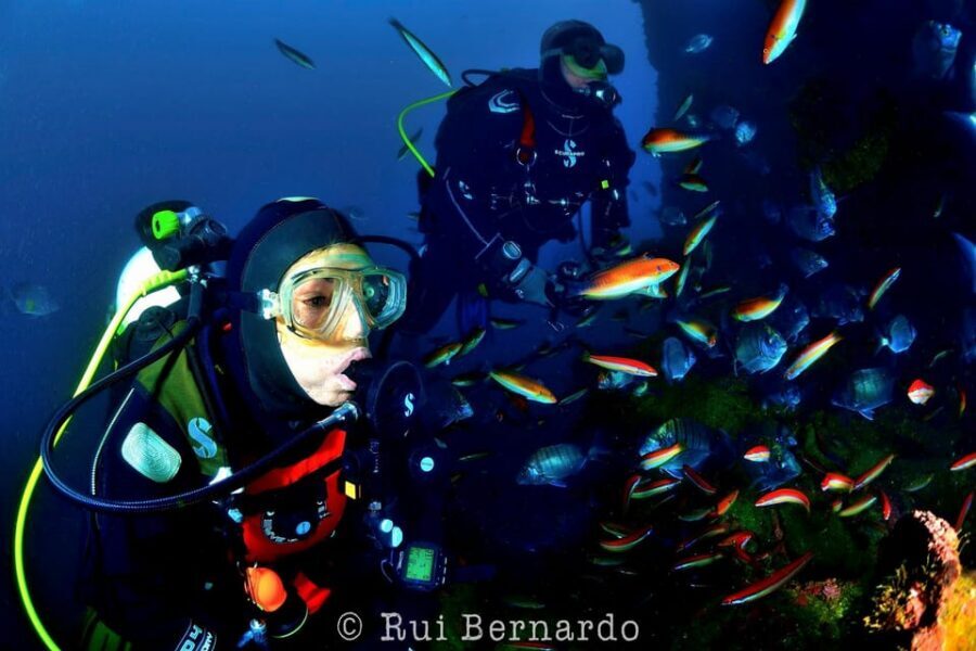 Sesimbra: Scuba Diving Experience for Beginners - Key highlights that matter (not just nice words)