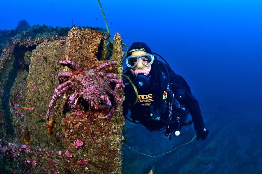 Sesimbra: Scuba Diving Experience for Beginners - Small group coaching: Daniel and Leonor make the difference