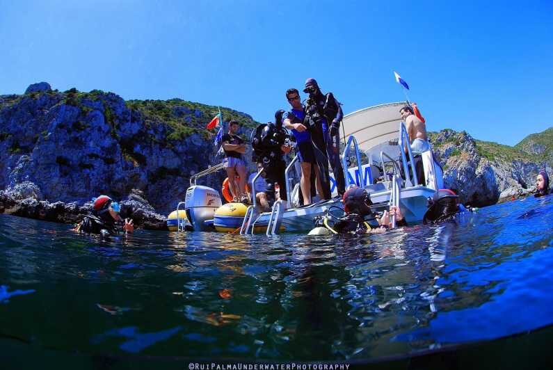 Sesimbra: Scuba Diving Experience for Beginners - Getting started at Cipreia: gear, briefing, and getting comfortable