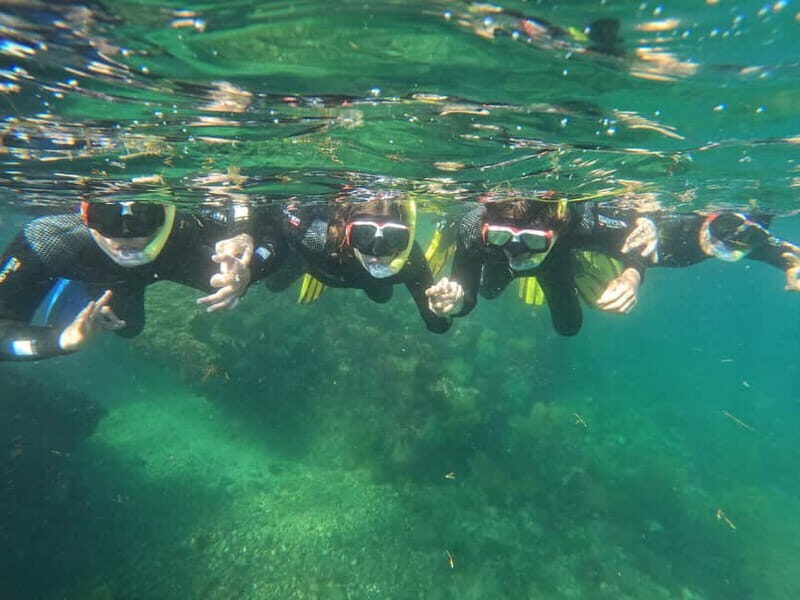 Sesimbra: Snorkeling experience in Arrábida Marine Reserve - Who should book this snorkel in Sesimbra?