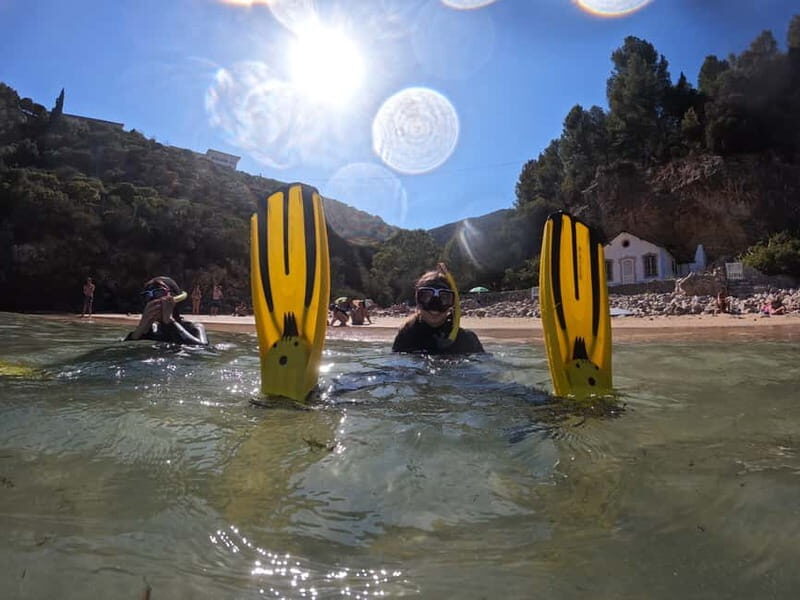 Sesimbra: Snorkeling experience in Arrábida Marine Reserve - Sesimbra and Arrábida Marine Reserve: why this snorkel works