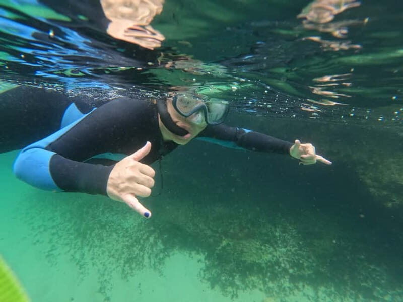Sesimbra: Snorkeling experience in Arrábida Marine Reserve - The scenery above the water: Arrábida views from a different angle