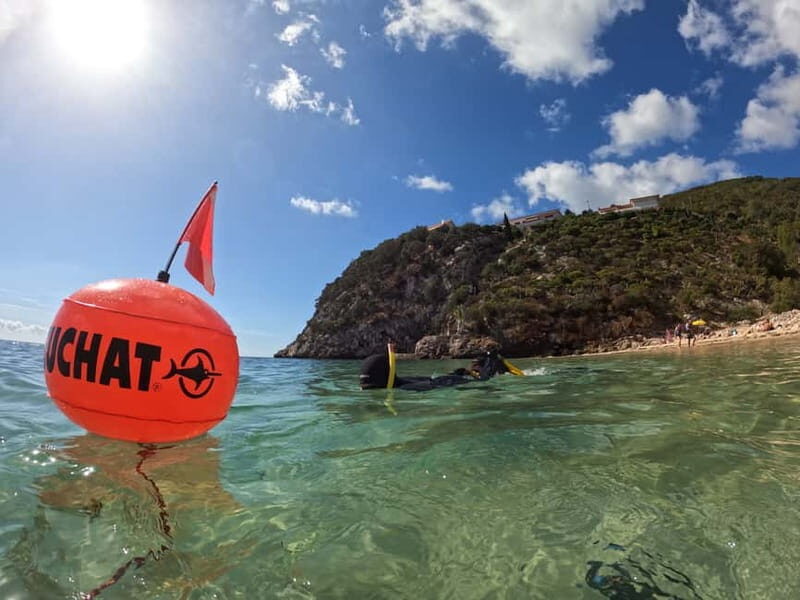 Sesimbra: Snorkeling experience in Arrábida Marine Reserve - Price and value: what you’re really paying for at $63