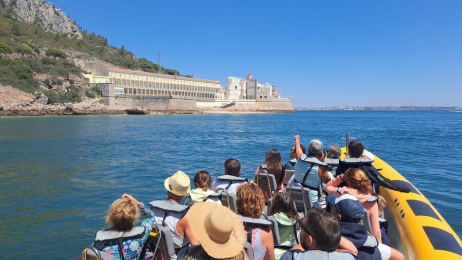 Setúbal and Tróia: Dolphin Watching and Arrábida Bays - Who this tour is best for (and who should adjust expectations)